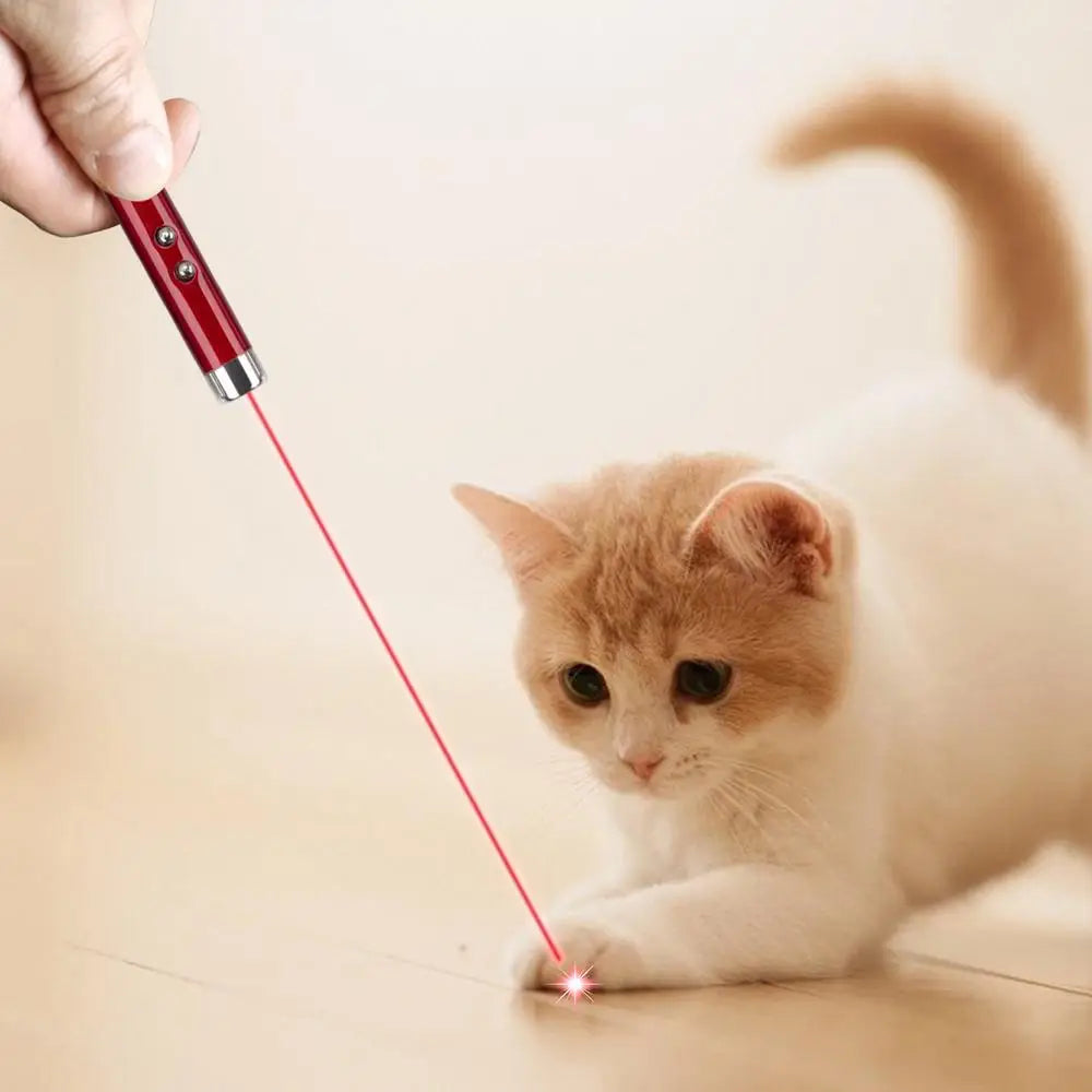 2-in-1 Mini Laser Pointer for Pets Cats toy Portable LED Pet Training Flashlight Scratching Toys Indicator Tools