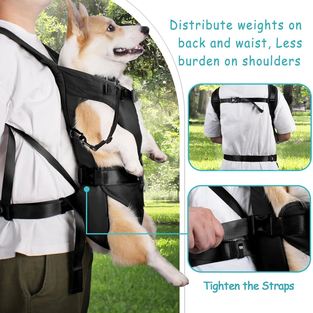 Pet Carrier Backpack for Dogs Cat Thickened Sponge Pet Front Dog Carrier Backpacks Portable Puppy Transportation Dog Bags