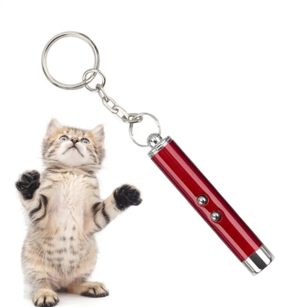 2-in-1 Mini Laser Pointer for Pets Cats toy Portable LED Pet Training Flashlight Scratching Toys Indicator Tools